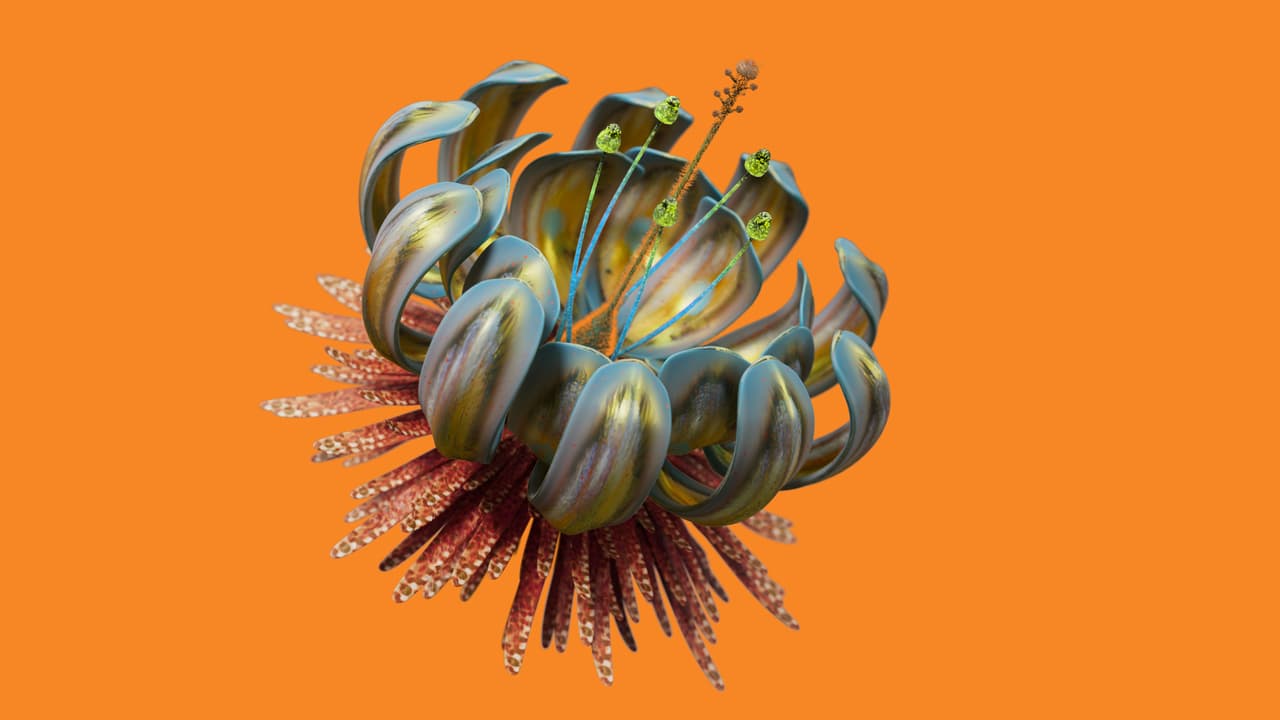 Poli orange flower
