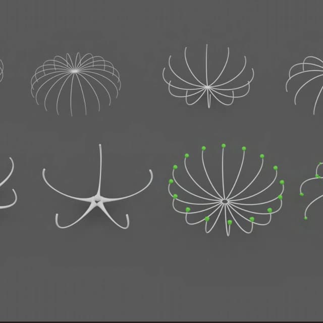 POLY WIREFRAME